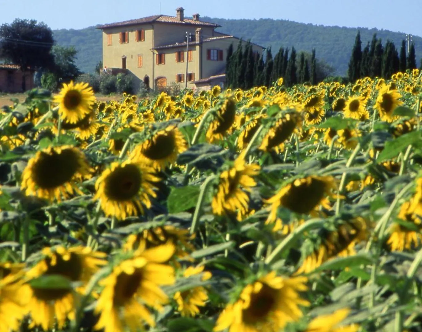 Agriturismo Palazzo Bandino - Wine Cellar, On Reservation Restaurant And Spa Chianciano Terme