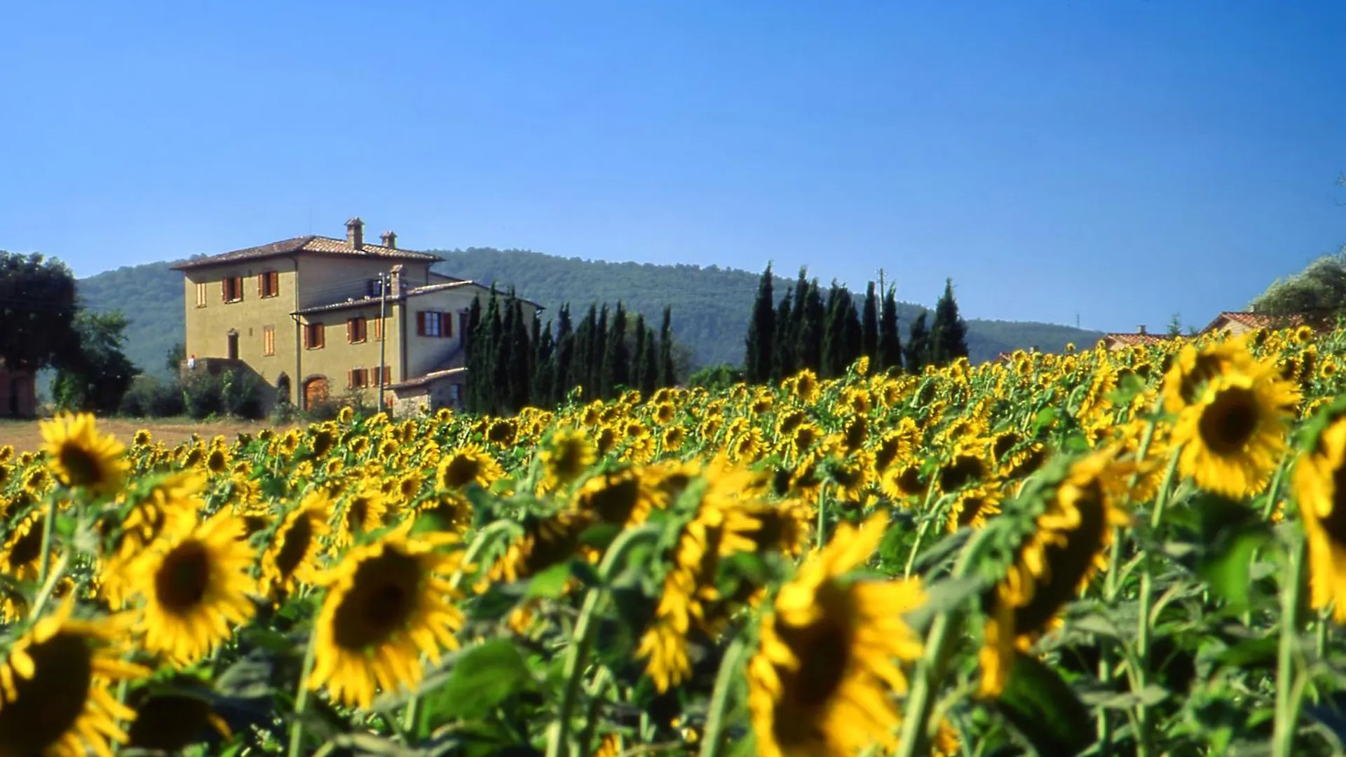 Farm stay Agriturismo Palazzo Bandino - Wine Cellar, On Reservation Restaurant And Spa Chianciano Terme